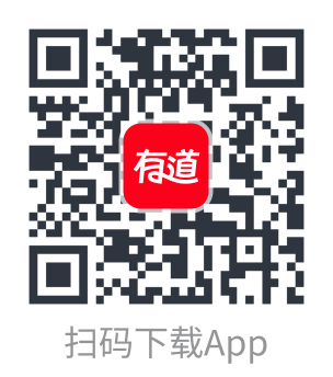 有道翻译PC版界面展示 - 您的AI翻译工作台